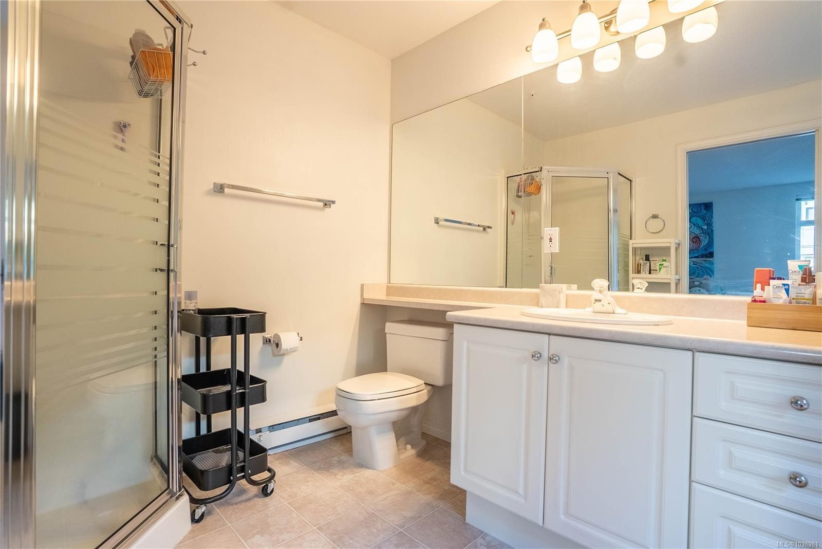 #306-5110 Cordova Bay Rd, Saanich, BC - Indoor Photo Showing Bathroom