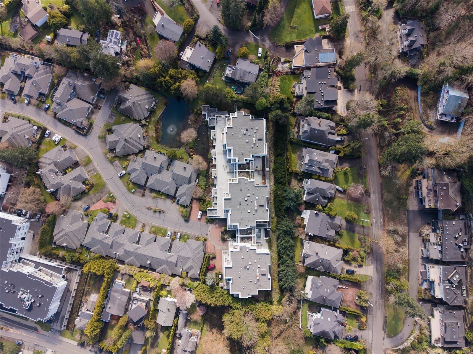 #306-5110 Cordova Bay Rd, Saanich, BC - With View