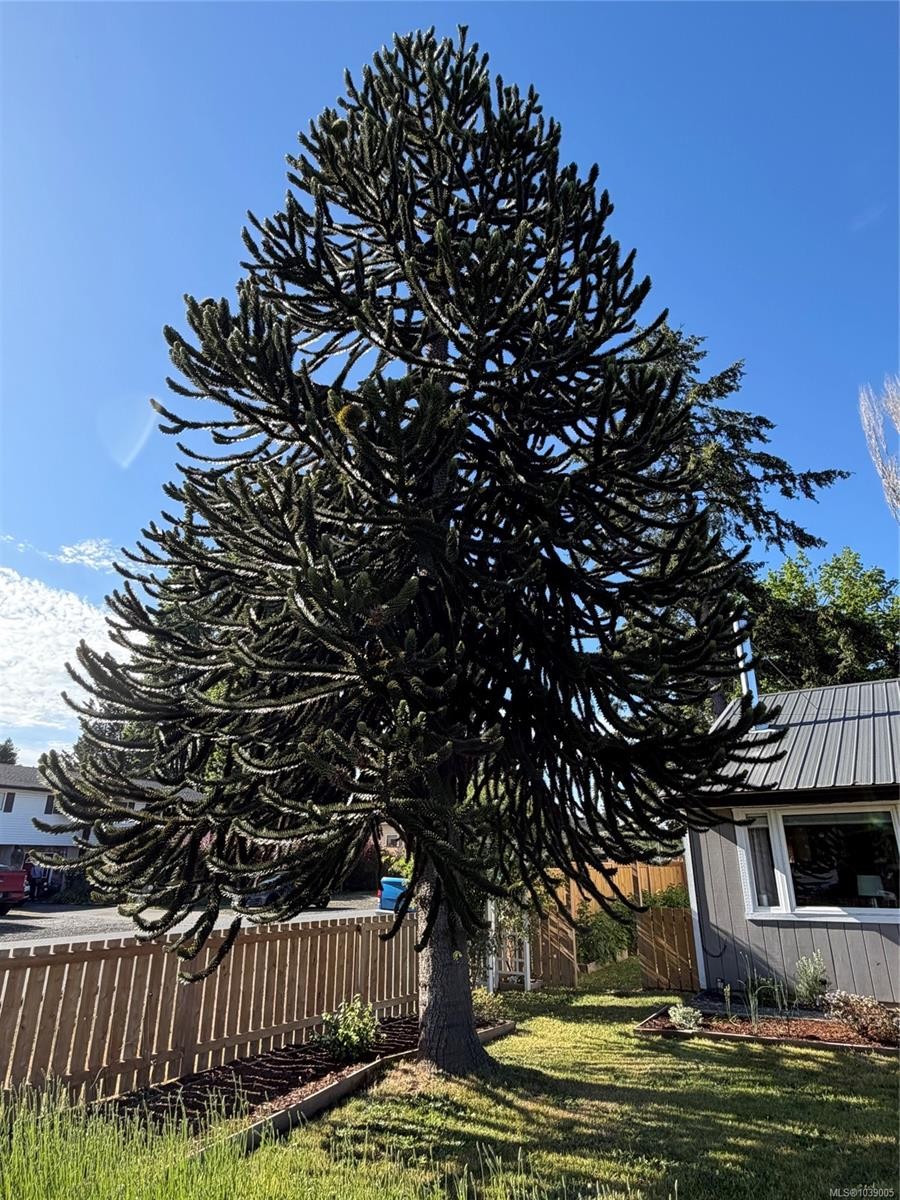 548 Nova St, Nanaimo, BC