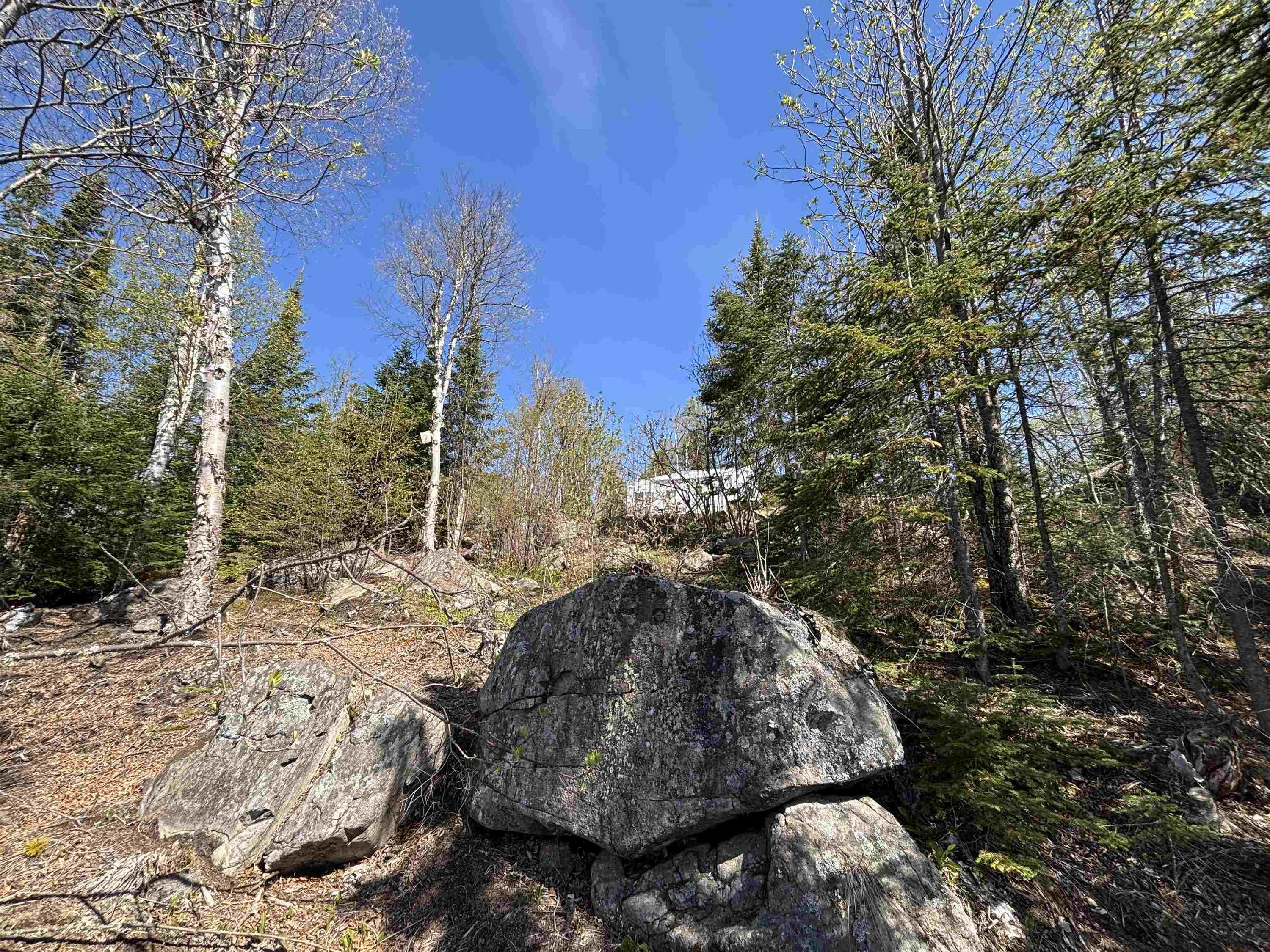 100 Lloyd Johnson Drive, Neebing, ON