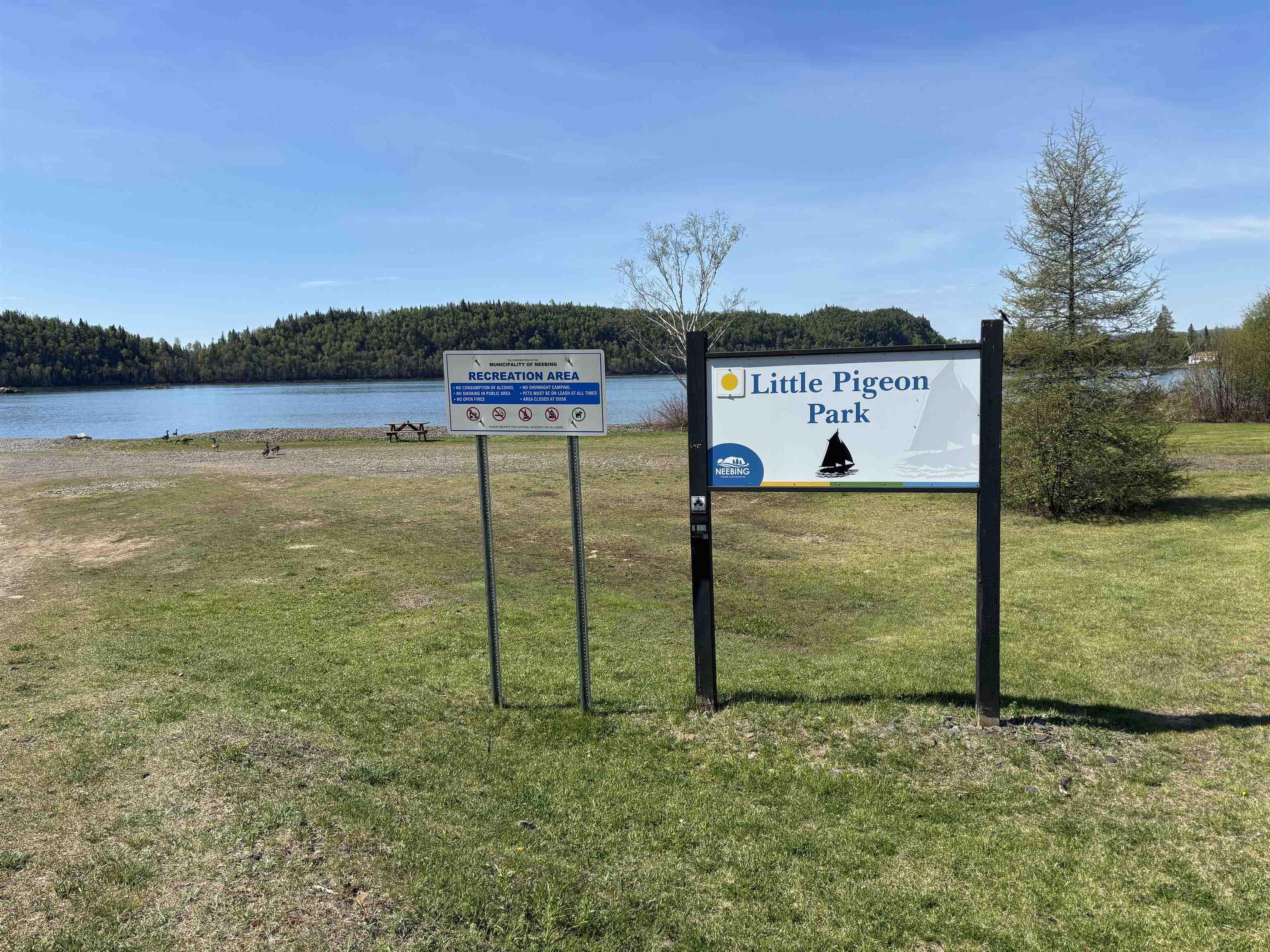 100 Lloyd Johnson Drive, Neebing, ON