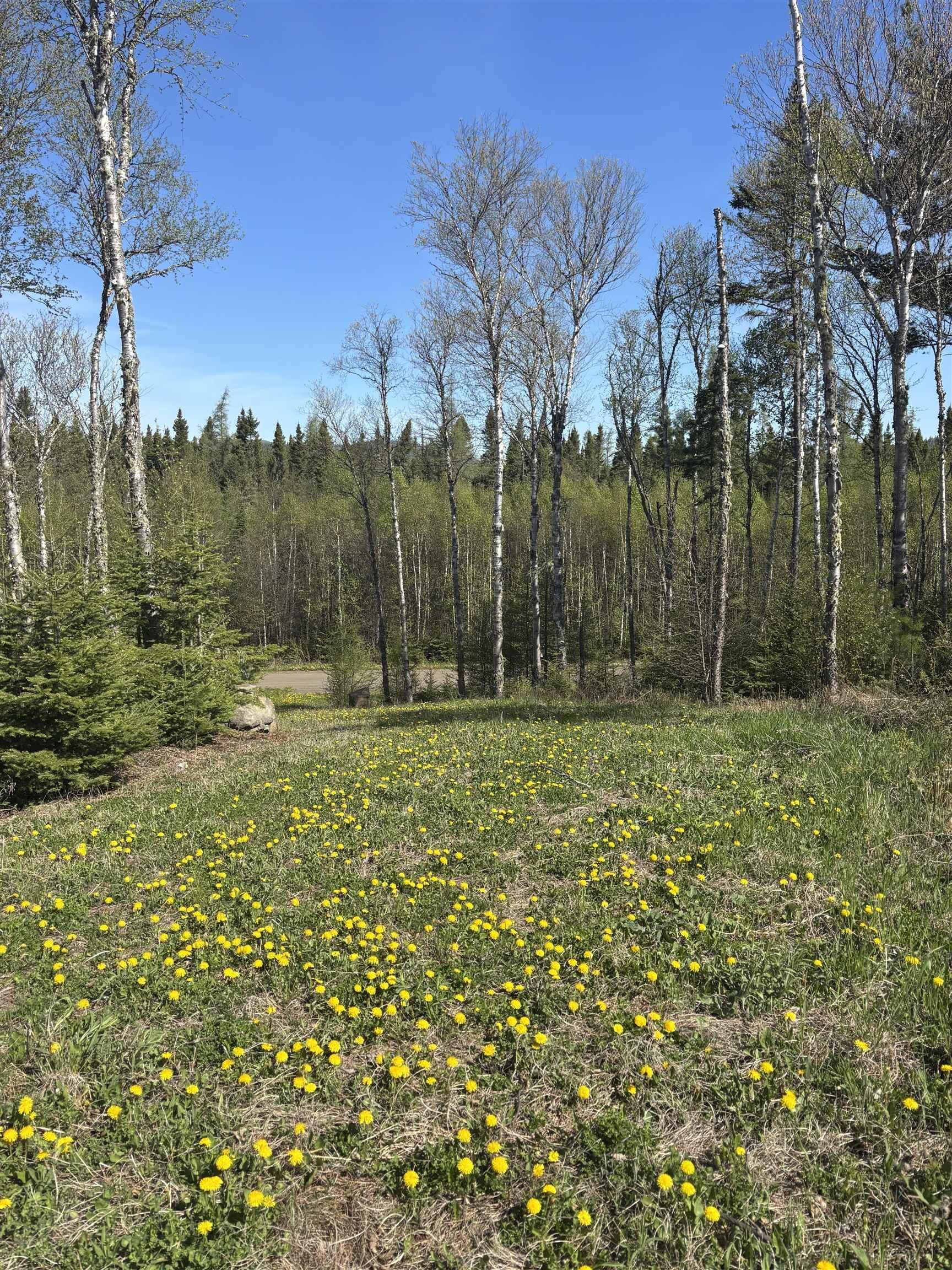 100 Lloyd Johnson Drive, Neebing, ON
