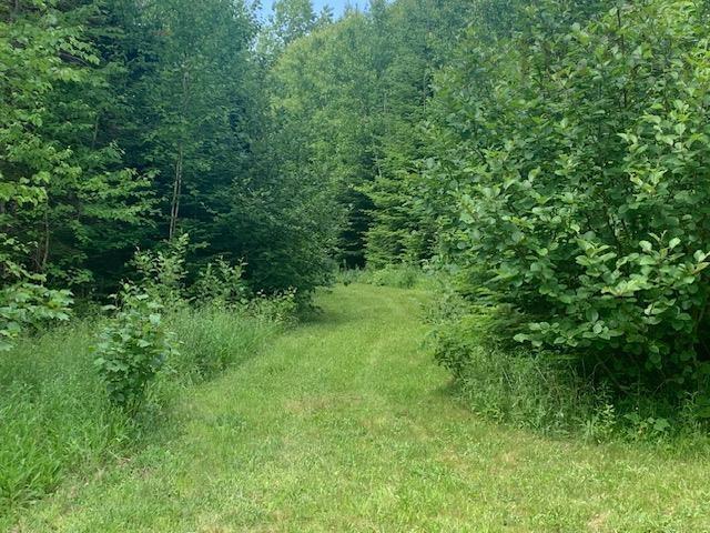879 Sarsfield Road, Chipman Brook, NS