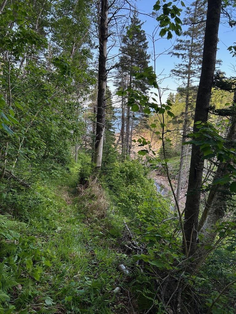 879 Sarsfield Road, Chipman Brook, NS