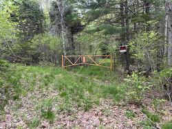 Land Locust Street Brooklyn, NS B0J 1H0