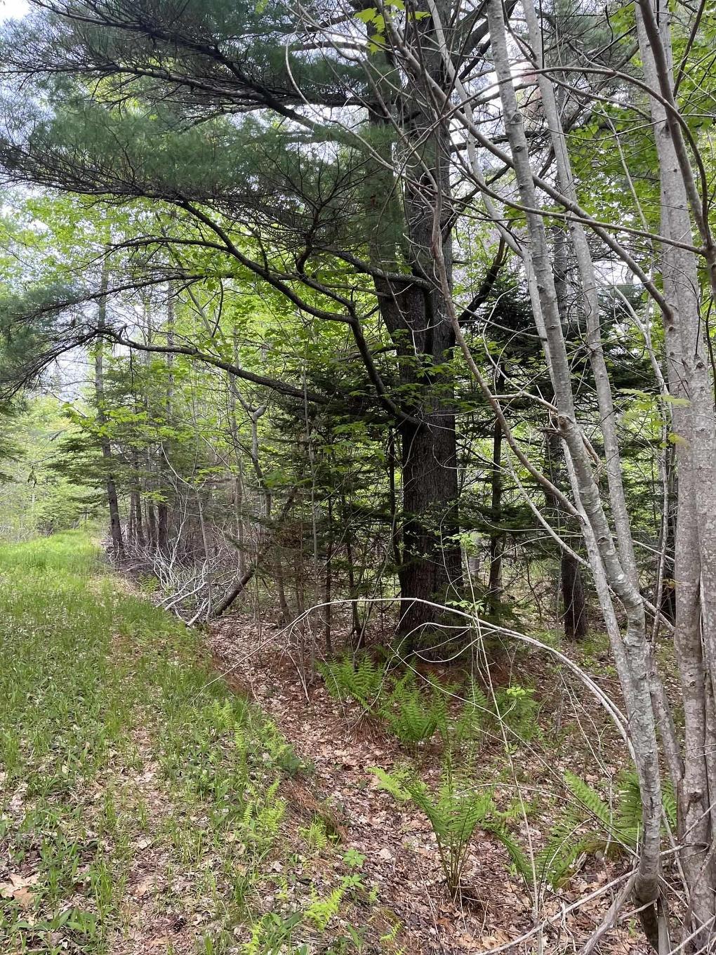 Land Locust Street, Brooklyn, NS