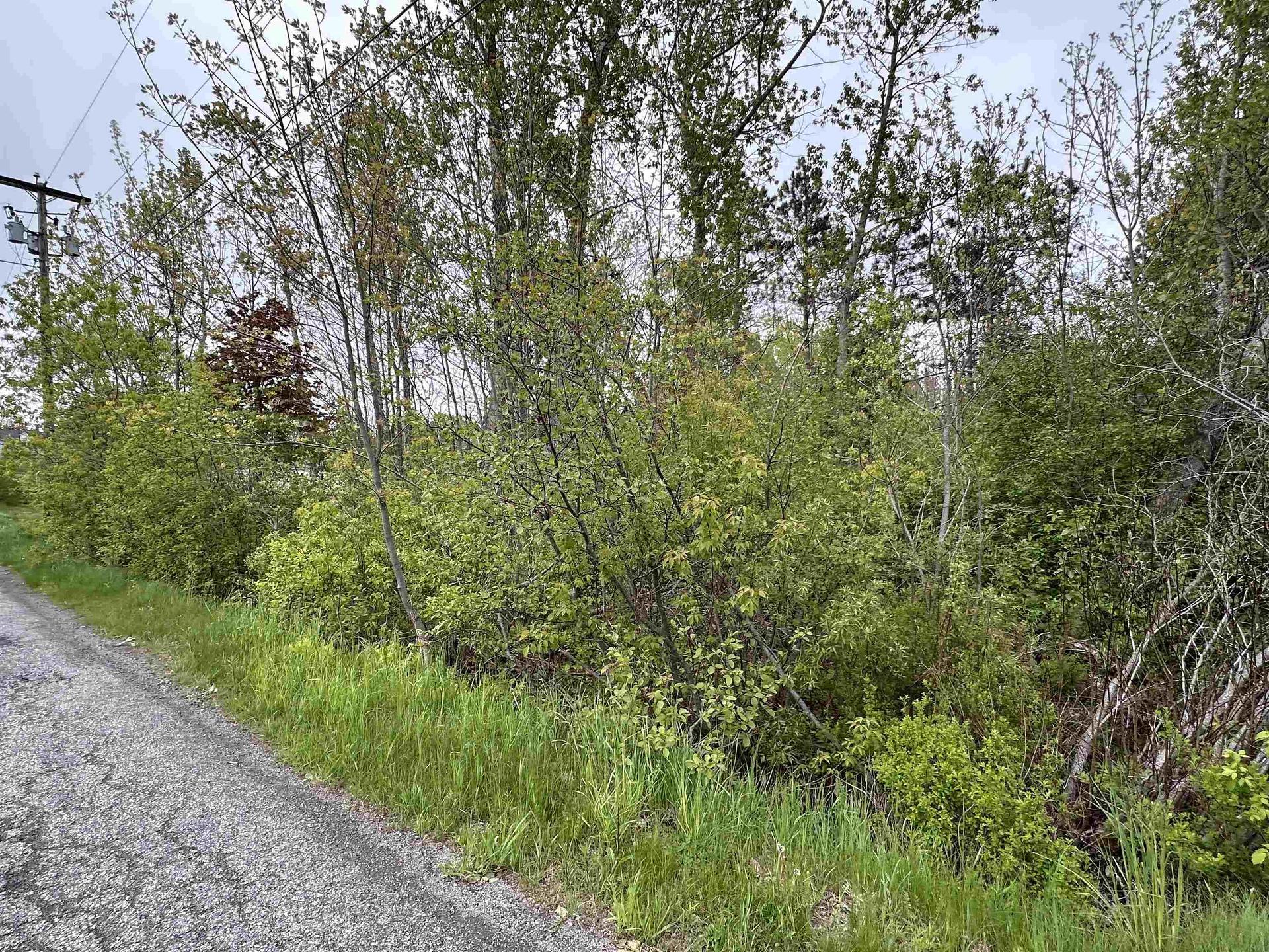 Lot Old Row Road, Thorburn, NS