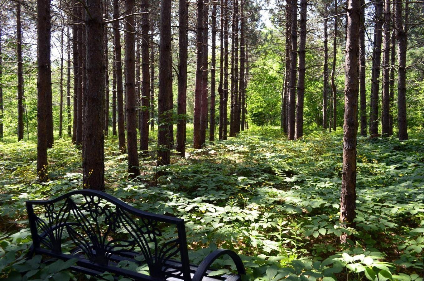 Lot 3 Colonial Arms Drive Accc#4, Deep Brook, NS