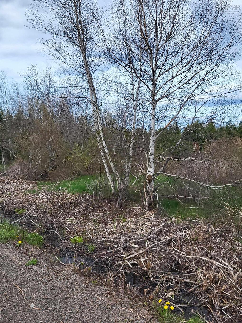 178 Trout Brook Road, Colchester, NS