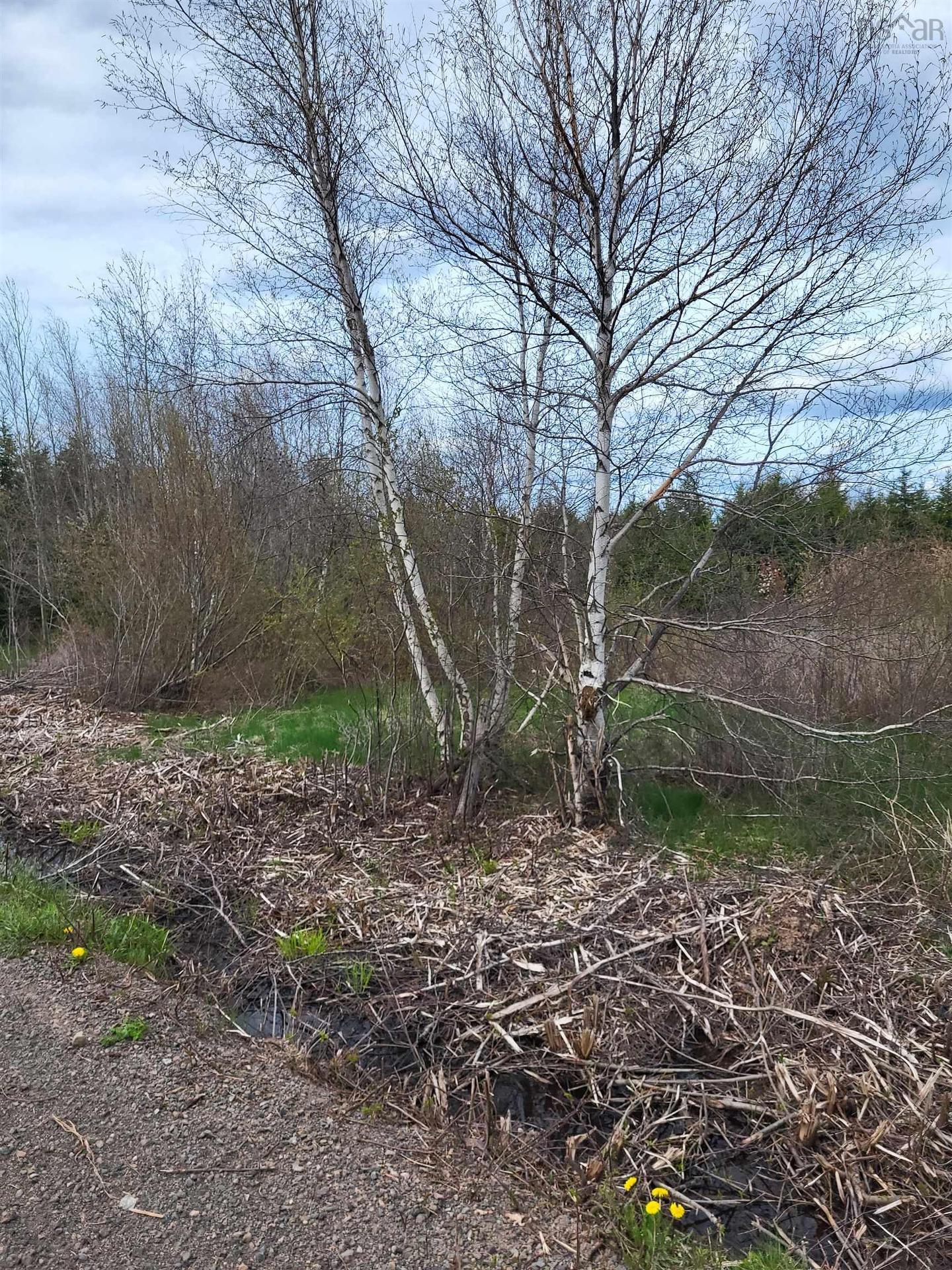 178 Trout Brook Road, Colchester, NS