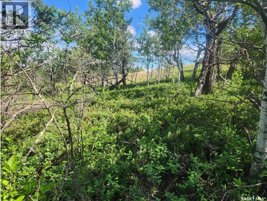Gee Acreage, Laird Rm No. 404, SK
