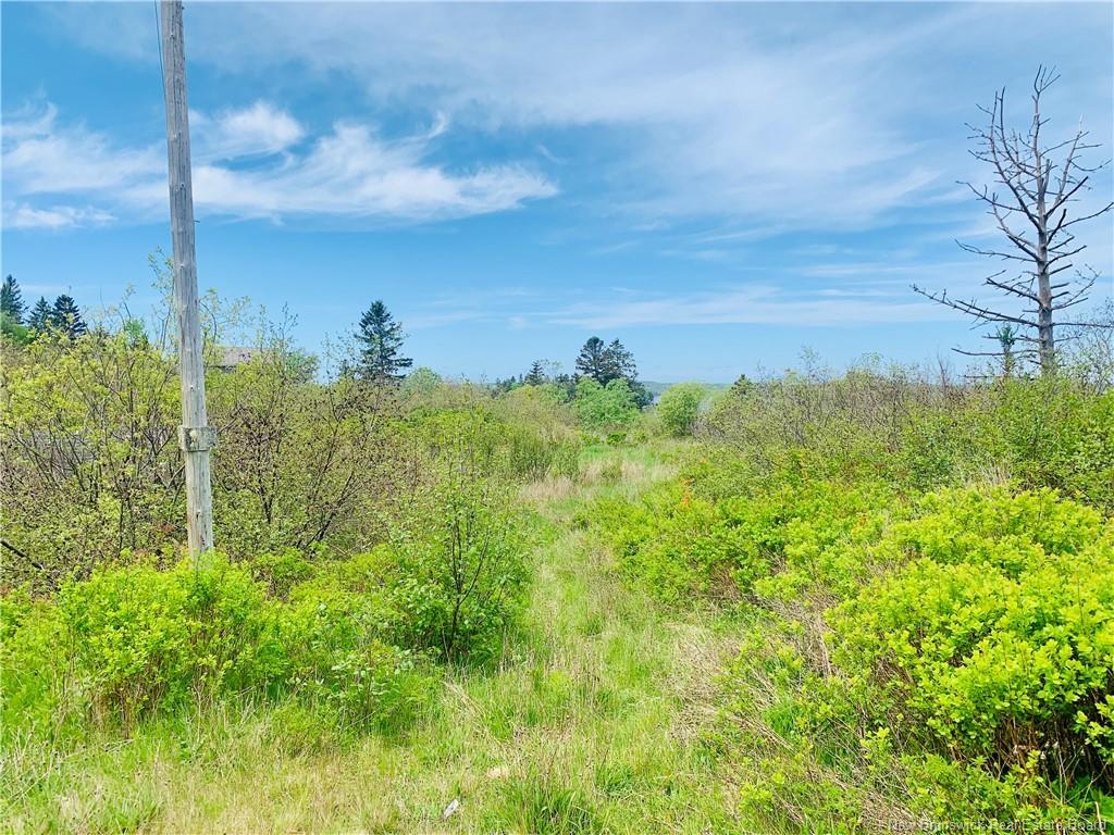 183 Narrows Rd, Welshpool, NB
