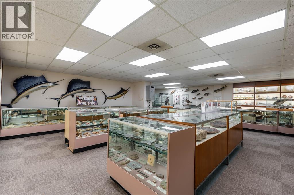 223 Christina Street North, Sarnia, ON