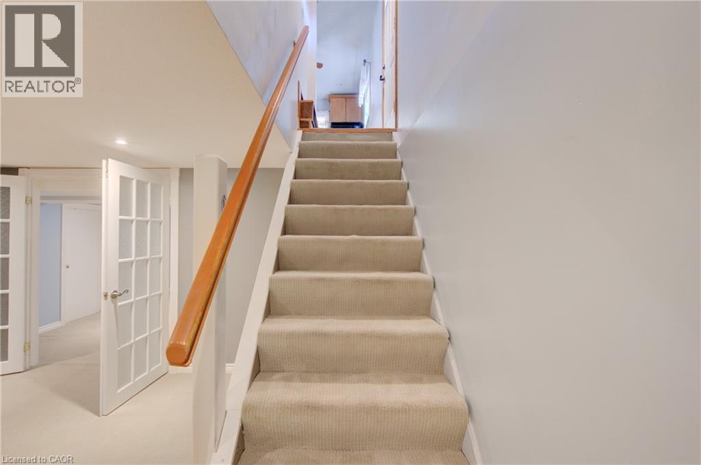 Carpeted staircase with a wood handrail and painted white risers - 251 Union Street E, Waterloo, ON
