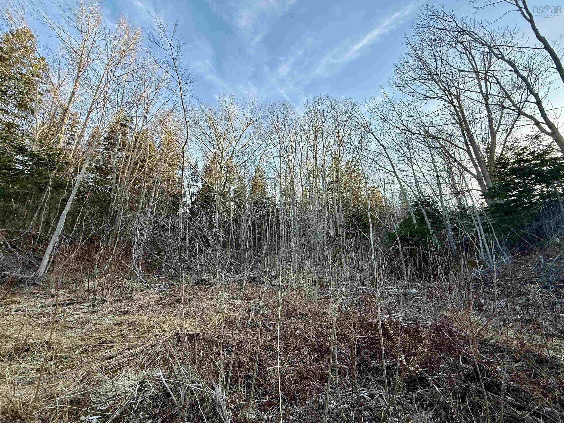 Lot Highway 4, Aulds Cove, NS