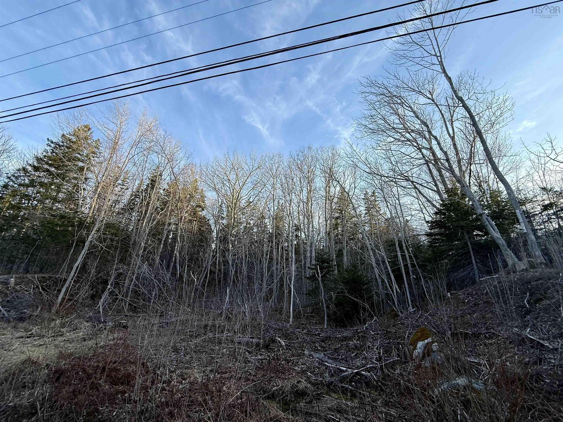 Lot Highway 4, Aulds Cove, NS