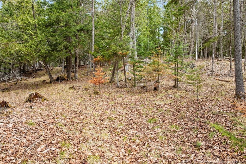 00 Everett Lane, Keswick Ridge, NB