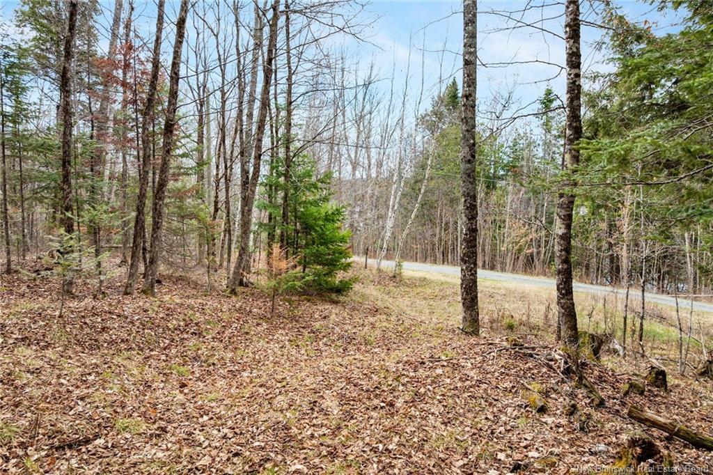 00 Everett Lane, Keswick Ridge, NB