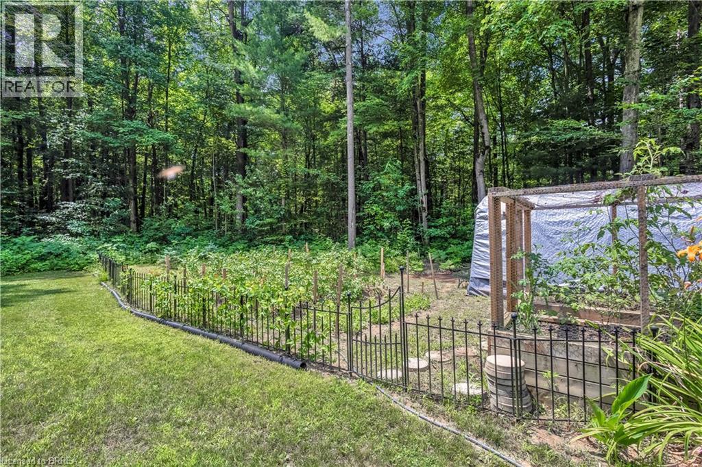 Raised Garden - 156 St Johns Road W, Simcoe, ON - Outdoor