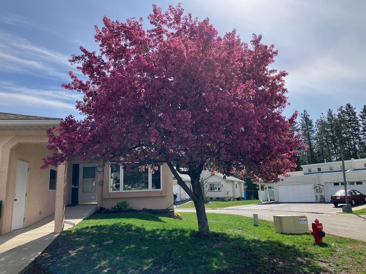 912 Ben Keer Drive, Kimberley, BC - Outdoor