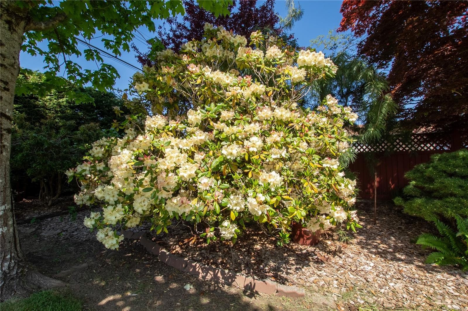 8071 Queen St, Crofton, BC
