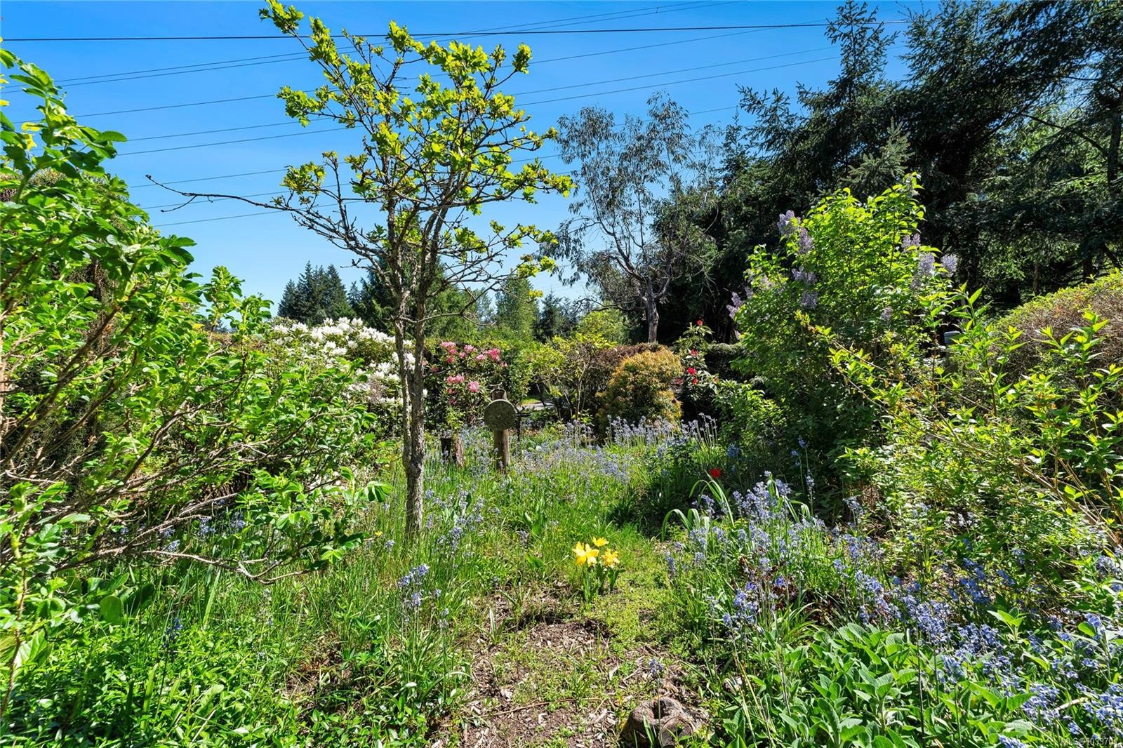 490 Rainbow Rd, Salt Spring, BC