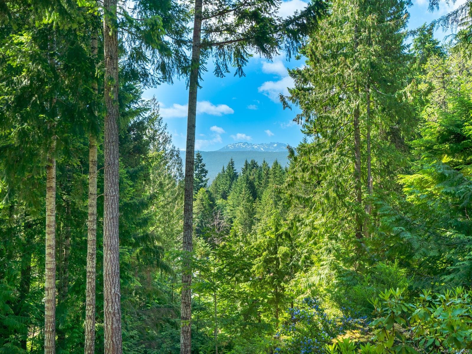 1055 Spider Lake Rd, Qualicum Beach, BC