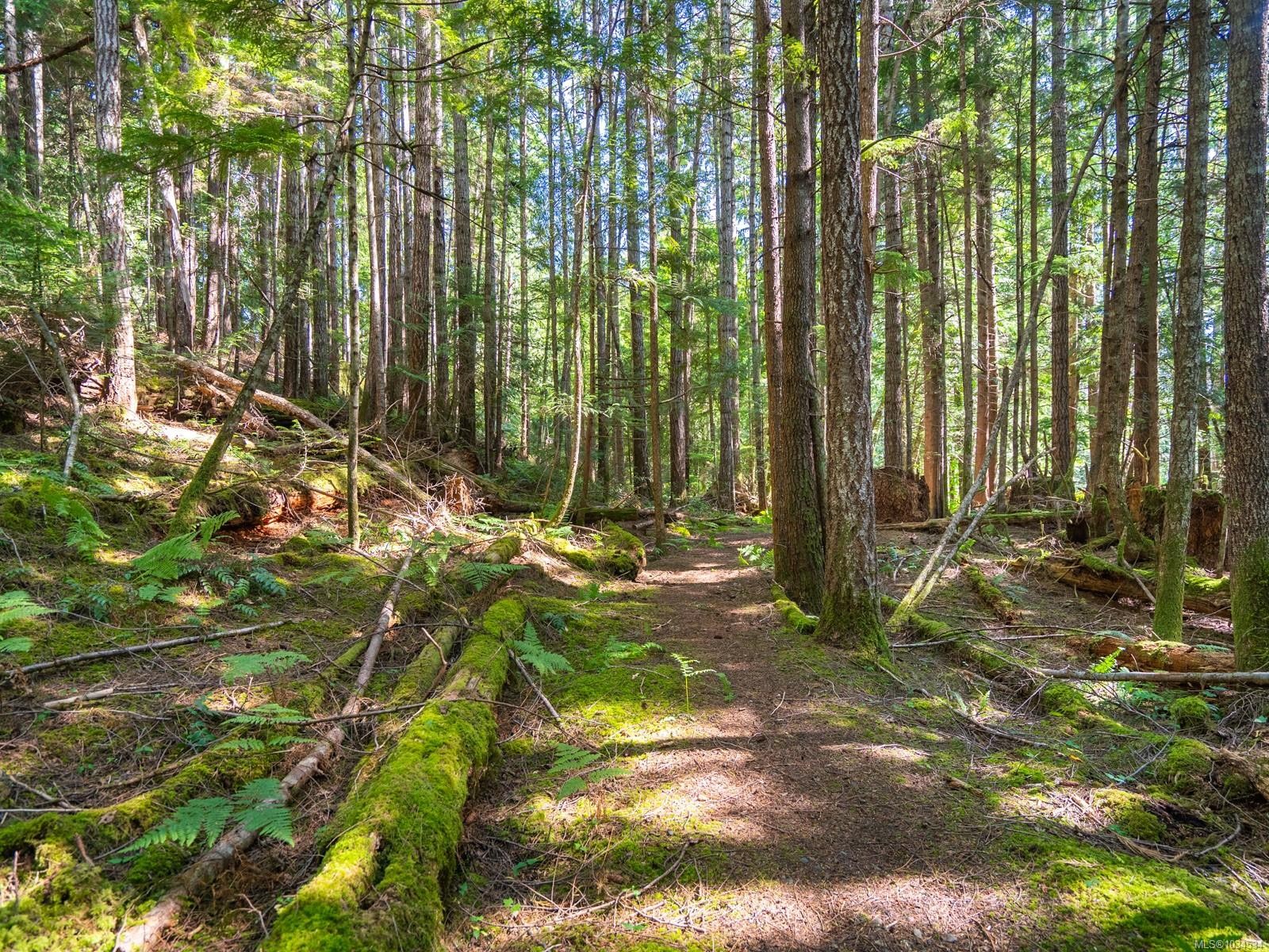 1055 Spider Lake Rd, Qualicum Beach, BC