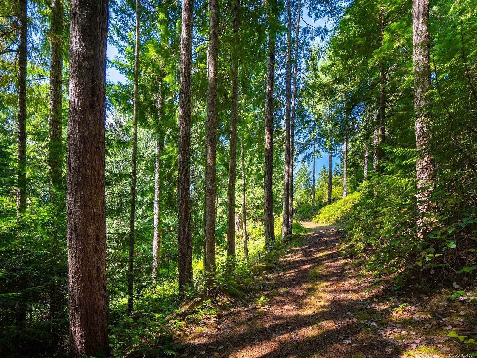 1055 Spider Lake Rd, Qualicum Beach, BC