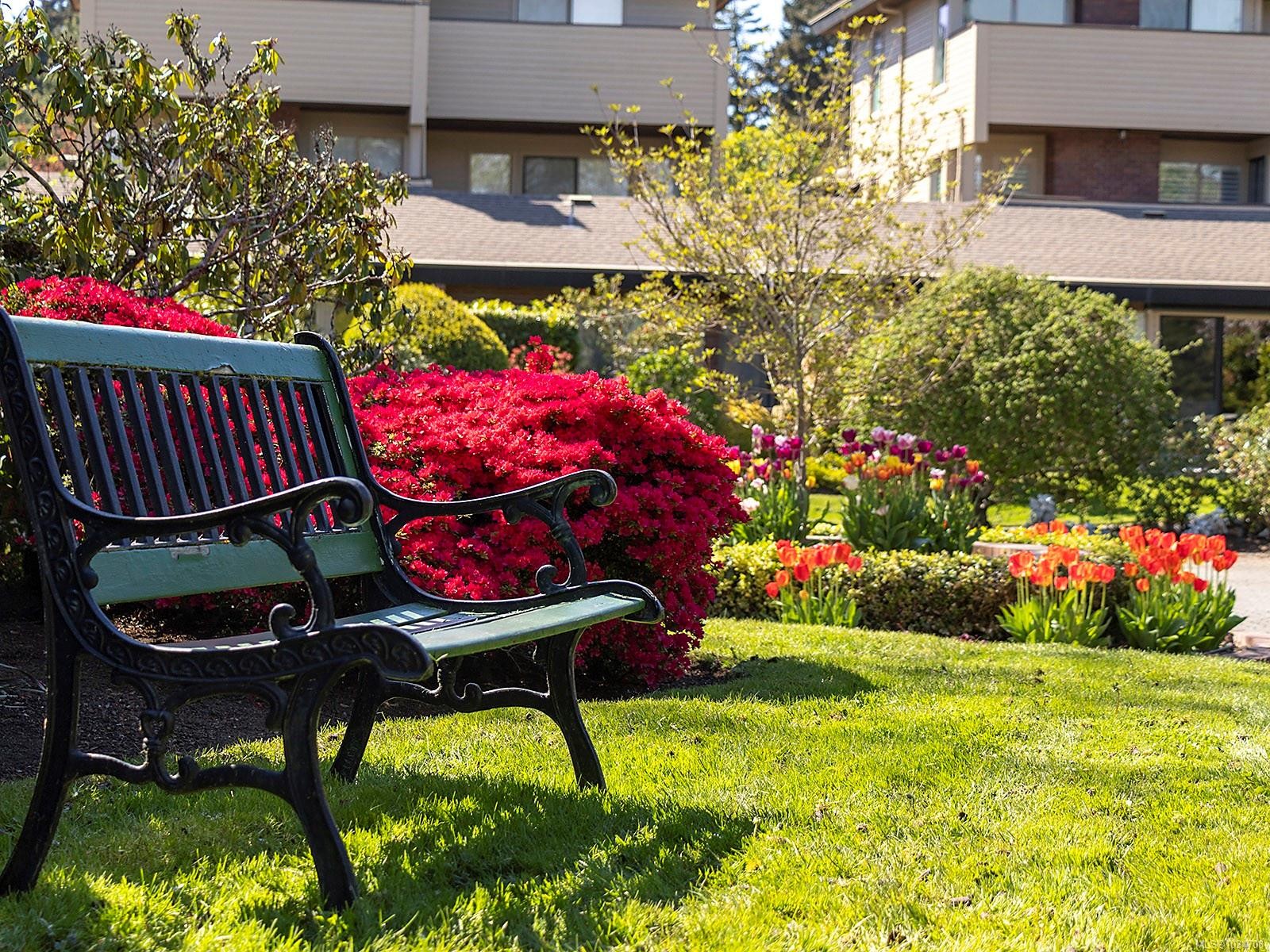 #137-2345 Cedar Hill Cross Rd, Oak Bay, BC