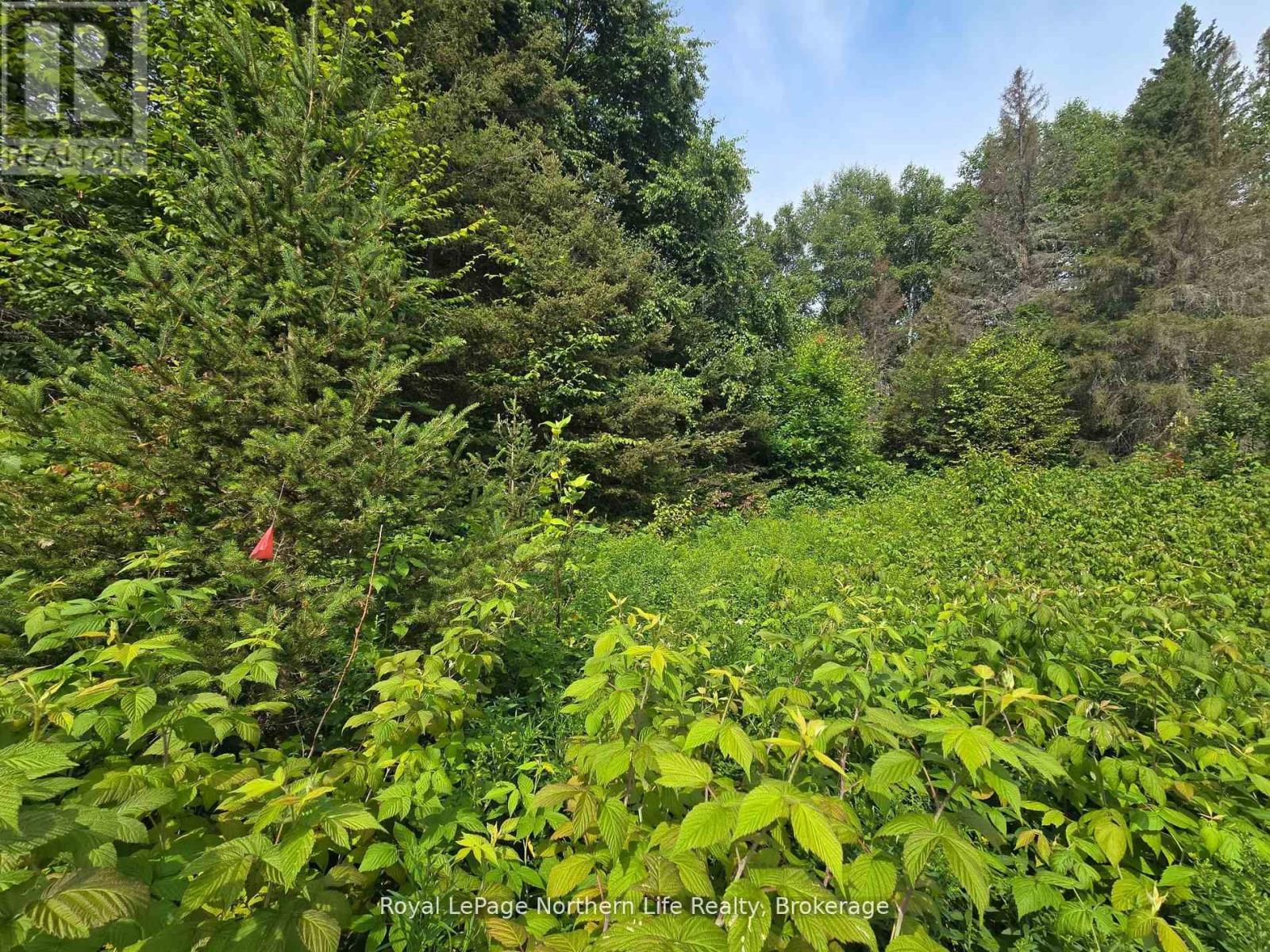 680 Mount Pleasant Road, Calvin, ON