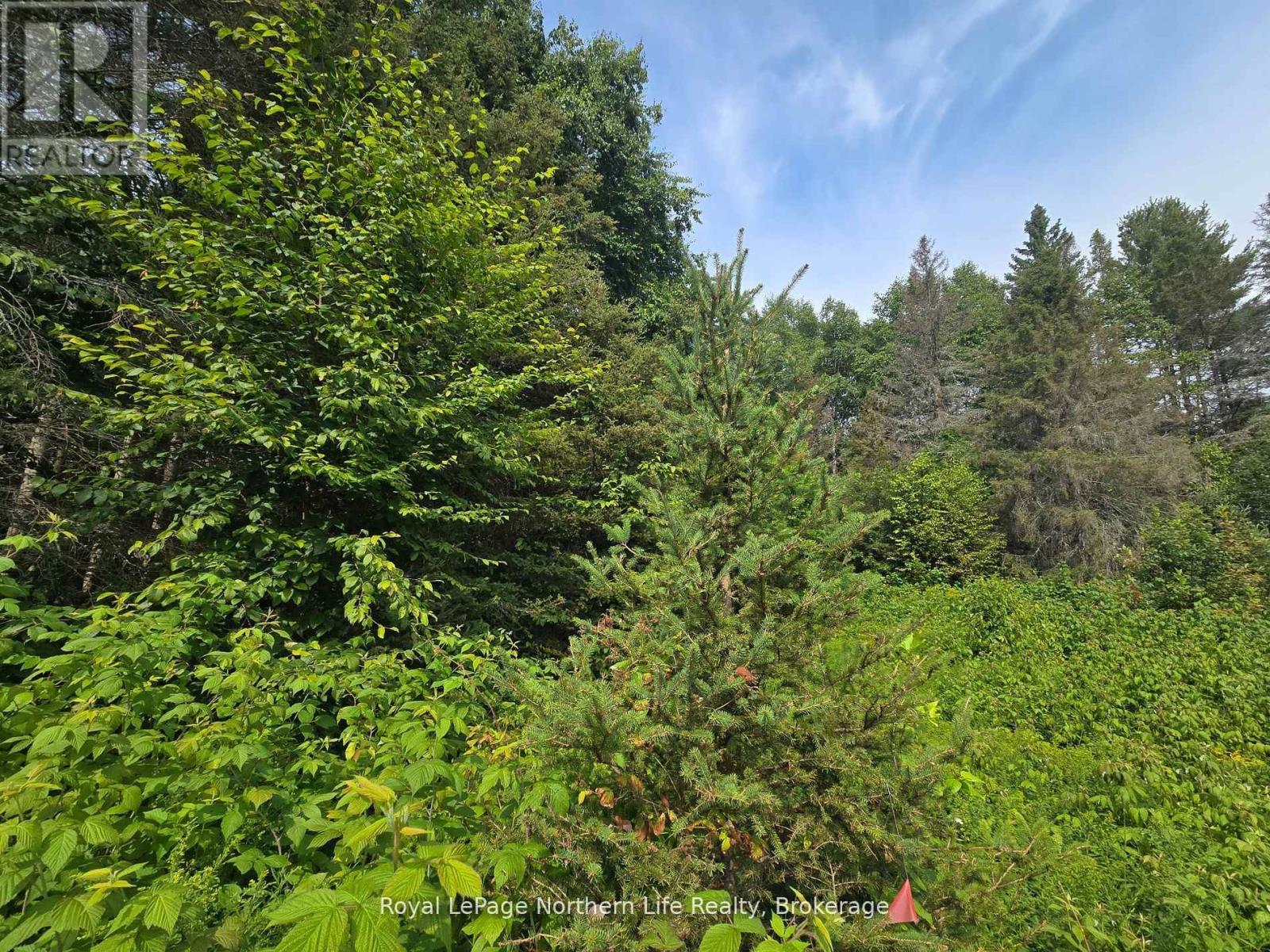 680 Mount Pleasant Road, Calvin, ON