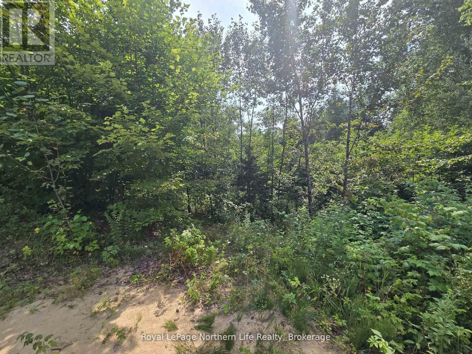680 Mount Pleasant Road, Calvin, ON