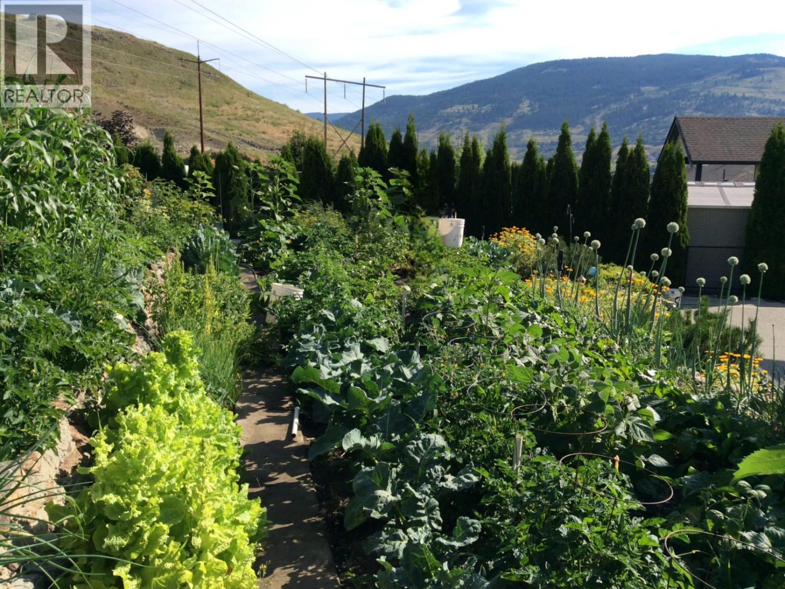 Owner's garden - 479 Middleton Way, Coldstream, BC - Outdoor