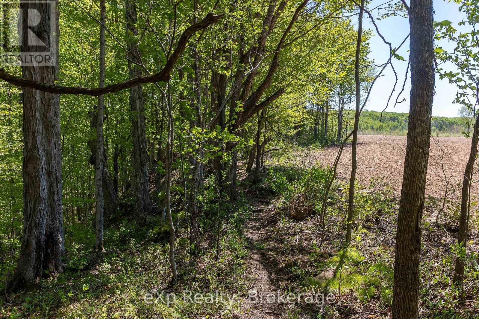 157659 7Th Line, Meaford, ON