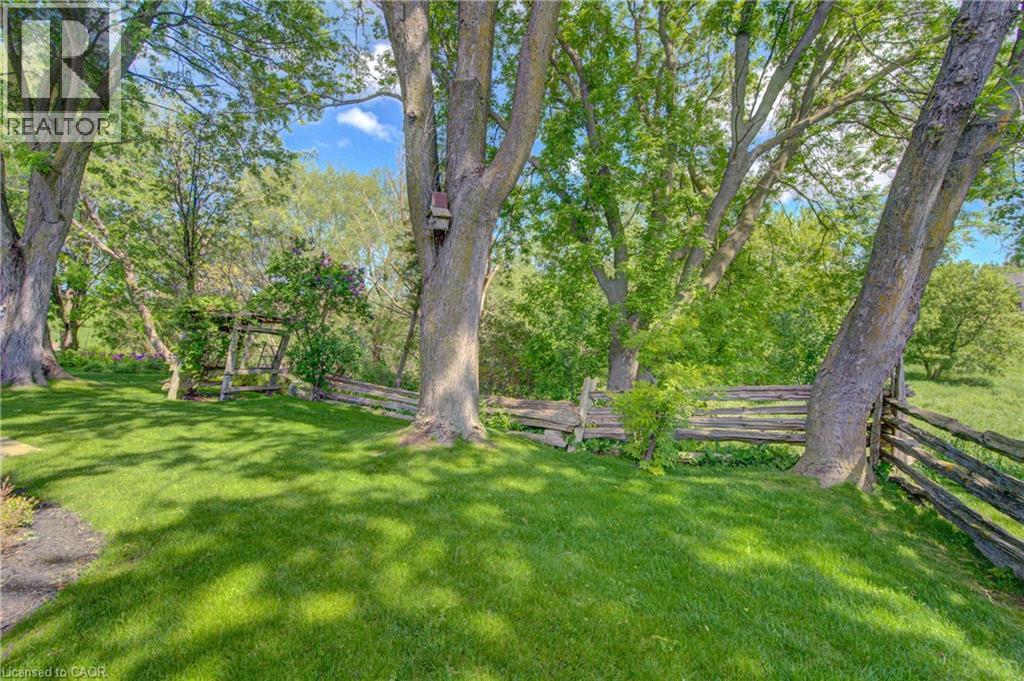Expansive green lawn with mature trees providing dappled shade - 137 Wesley Crescent, Waterloo, ON