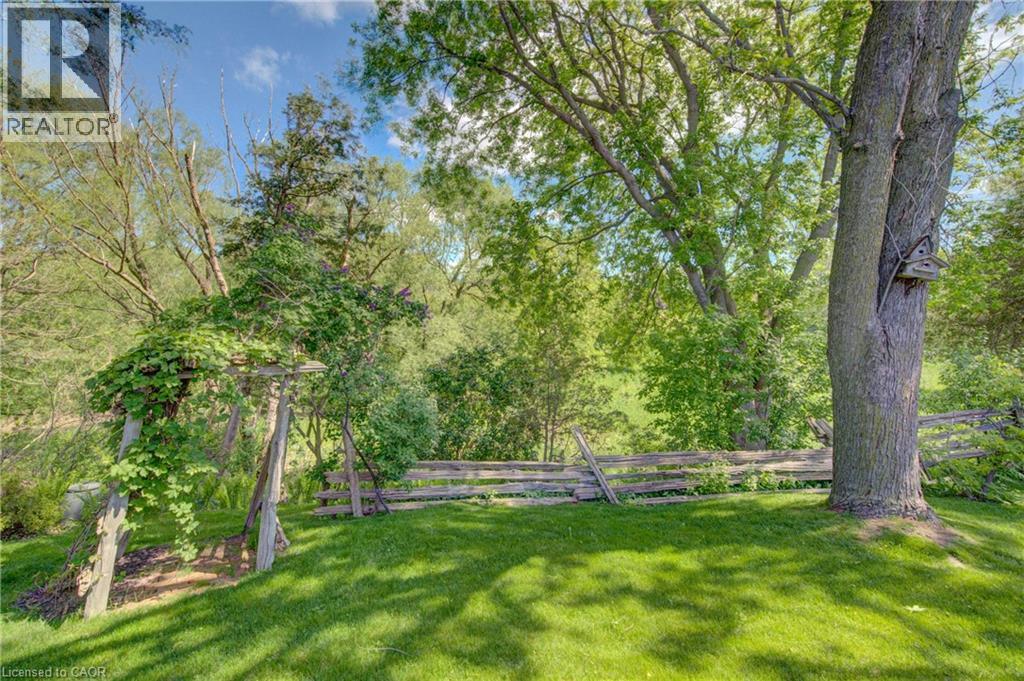Expansive green lawn with mature trees and natural wood fencing - 137 Wesley Crescent, Waterloo, ON