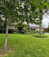 114 CAMPBELL CRESCENT Kingston (Central City West), ON K7M 1Z5