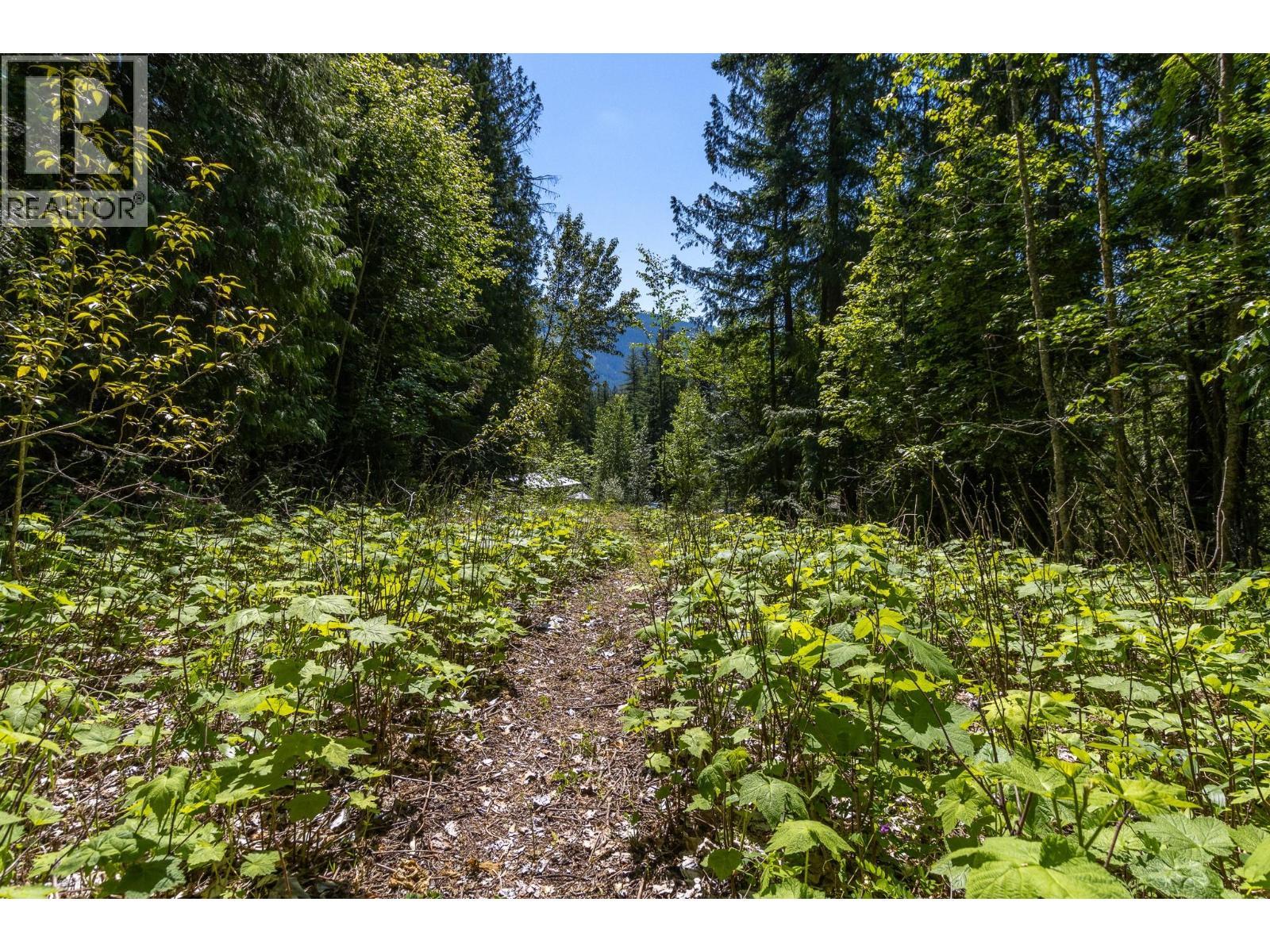Sunnybrae Canoe Point Road Lot# 2, Tappen, BC
