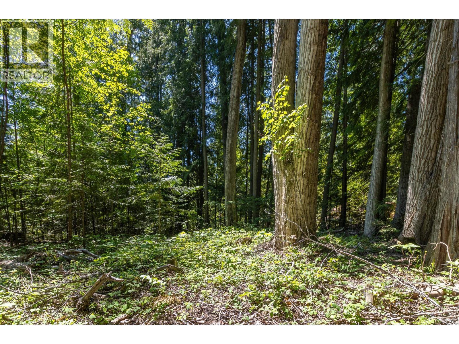 Sunnybrae Canoe Point Road Lot# 2, Tappen, BC