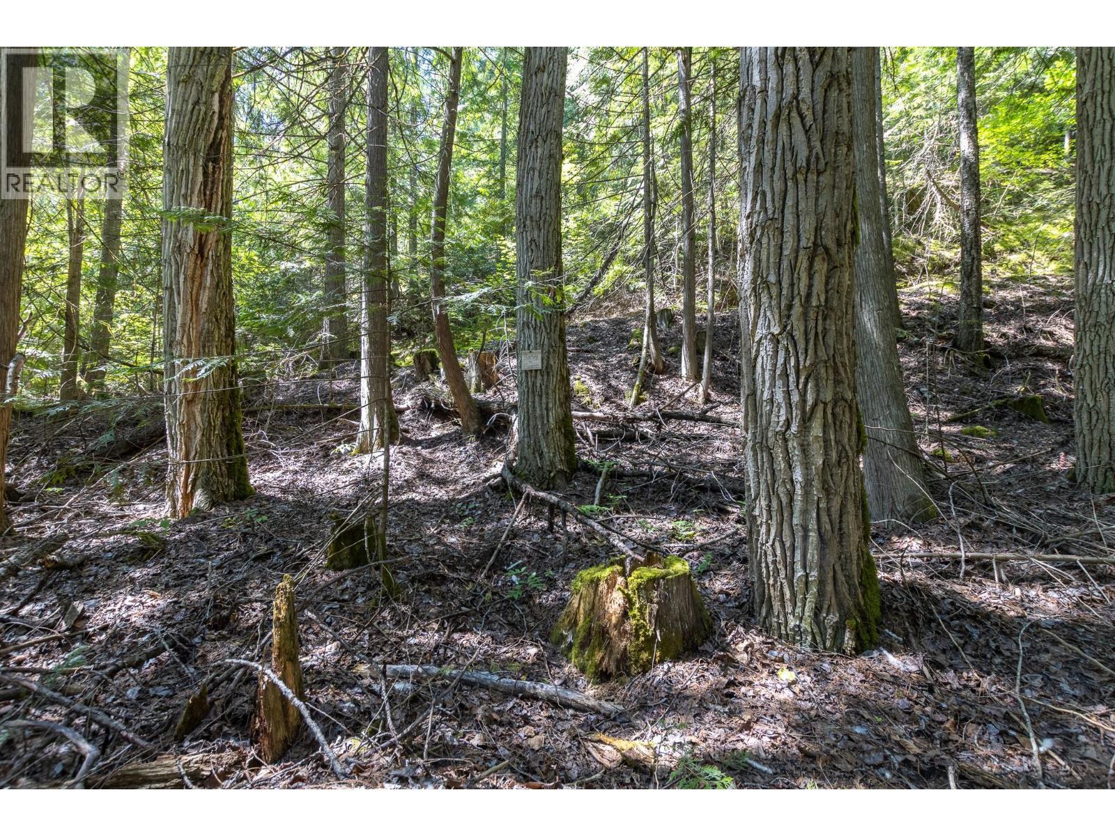Sunnybrae Canoe Point Road Lot# 2, Tappen, BC