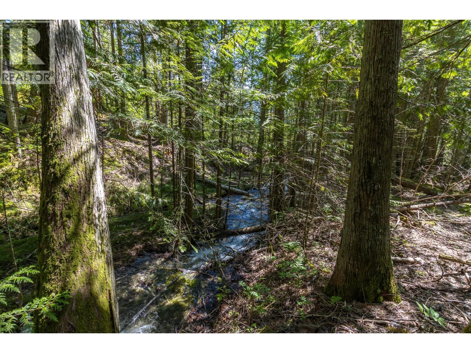 Sunnybrae Canoe Point Road Lot# 2, Tappen, BC