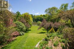 Backyard -
