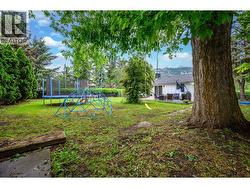 The big shade tree -