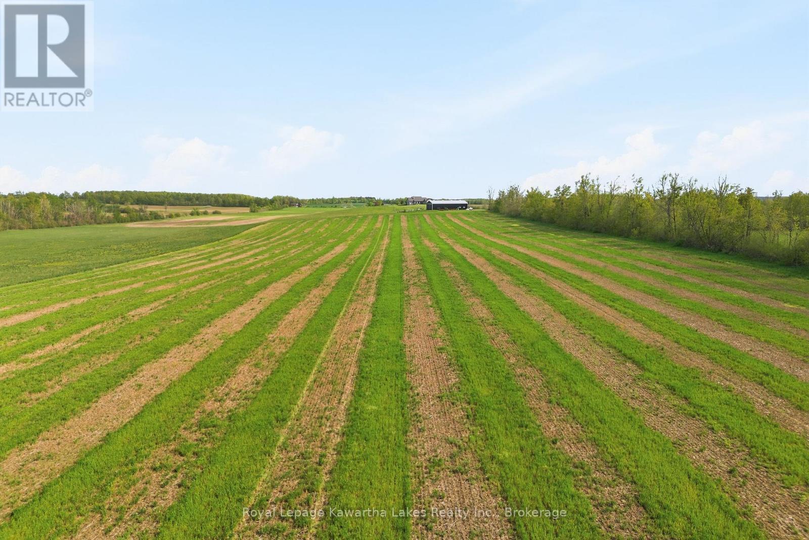 431 Meadowview Road, Kawartha Lakes (Emily), ON