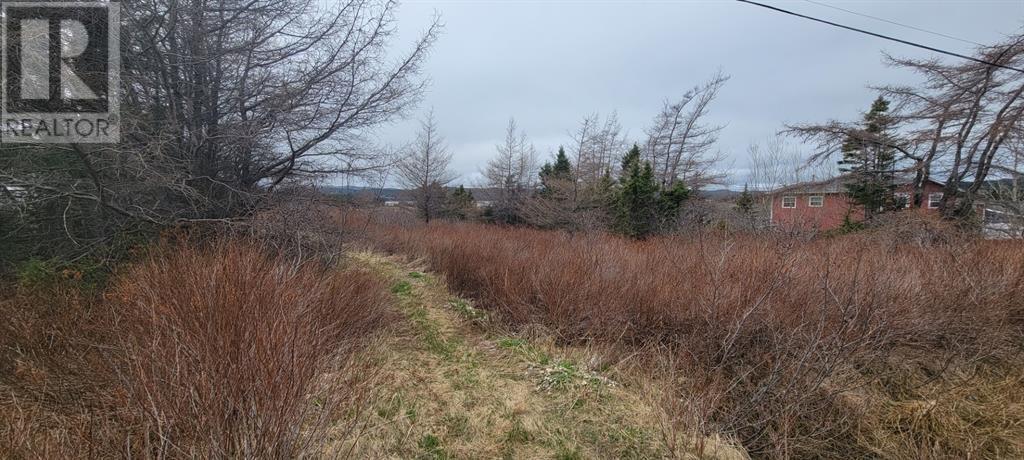 390 Main Street, Burin, NL