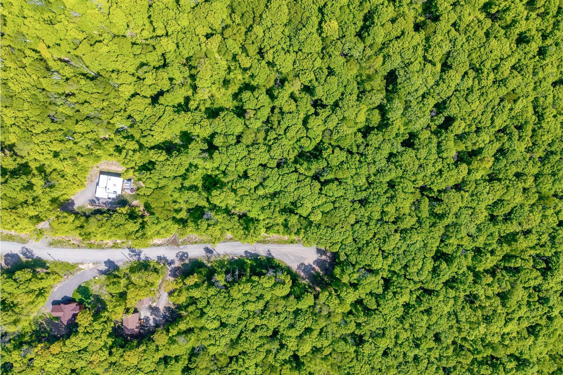Photo aérienne - Allée Des Weskarinis, Mont-Tremblant, QC