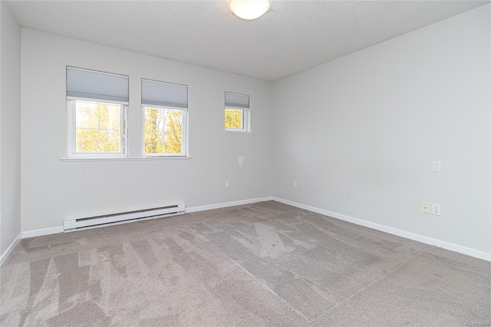 #13-1043 Caledonia Ave, Victoria, BC