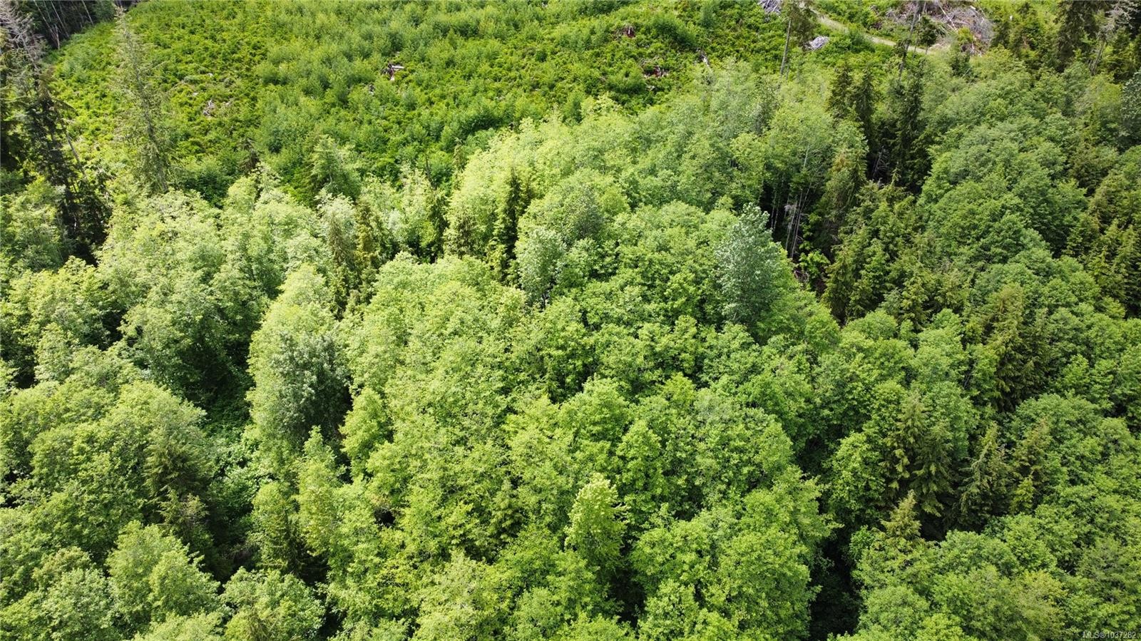 709 Sayward Rd, Sayward, BC