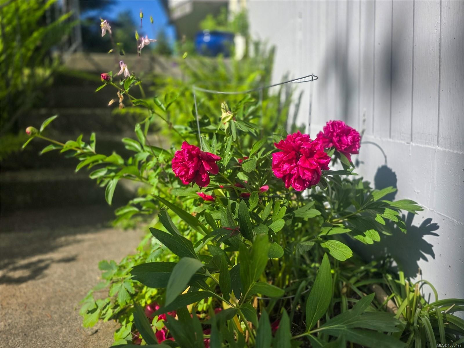 221 Spar St, Sayward, BC